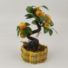 BONSAI FRUTA PEQ - Ref. 10ZDG