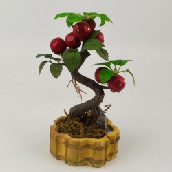 BONSAI FRUTA PEQ - Ref. 10ZDG