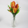 TULIPA GRD C/7 - Ref. D-7311