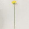 GERBERA UNITARIA - Ref. 3288