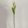 TULIPA UNITARIA GRD - Ref. 20001