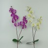 ORQUIDEA C/ FOLHA - Ref. 20264